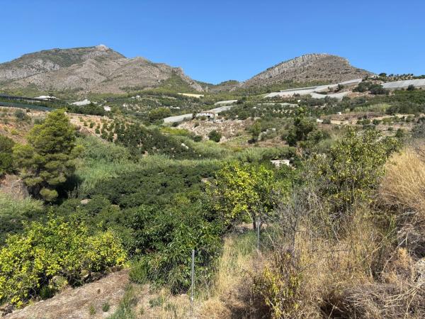 Terreno en Partida Onaer, 68, Callosa d'En Sarria photo 4