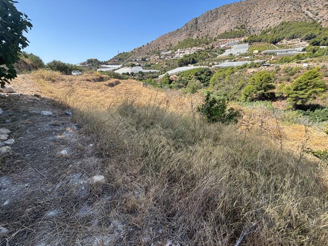 Terreno en venta en Callosa d''En Sarria, Alicante photo 5