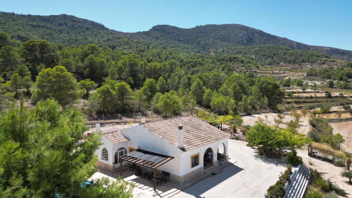 Sprzedaż działki rolnej w  Finca rústica en Umbria Alta De Algayat, 67, La Romana , La Romana photo 5