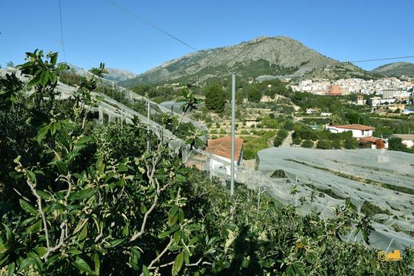 Casa o chalet independiente en Callosa d'En Sarria thumbnail 3