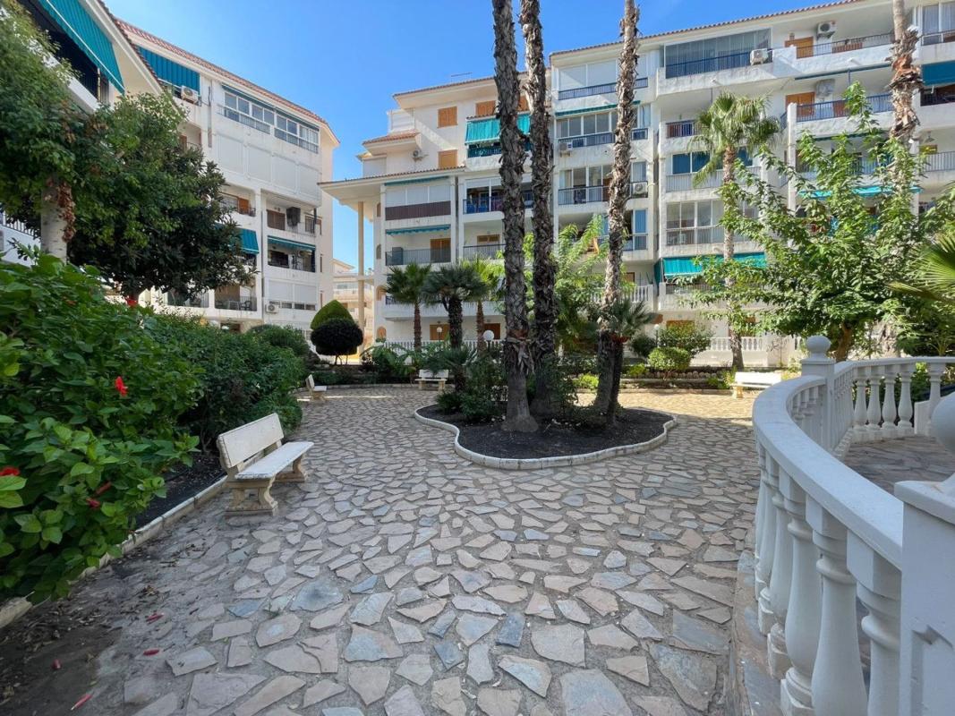 Sale of apartment in Piso en Avenida Bélgica, Los Europeos, Torrevieja, Torrevieja
 photo 3