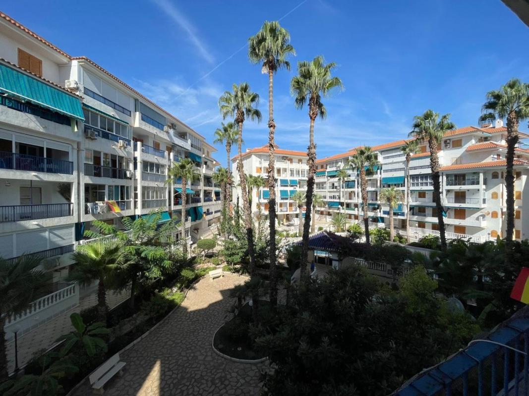 Sale of apartment in Piso en Avenida Bélgica, Los Europeos, Torrevieja, Torrevieja
 photo 4