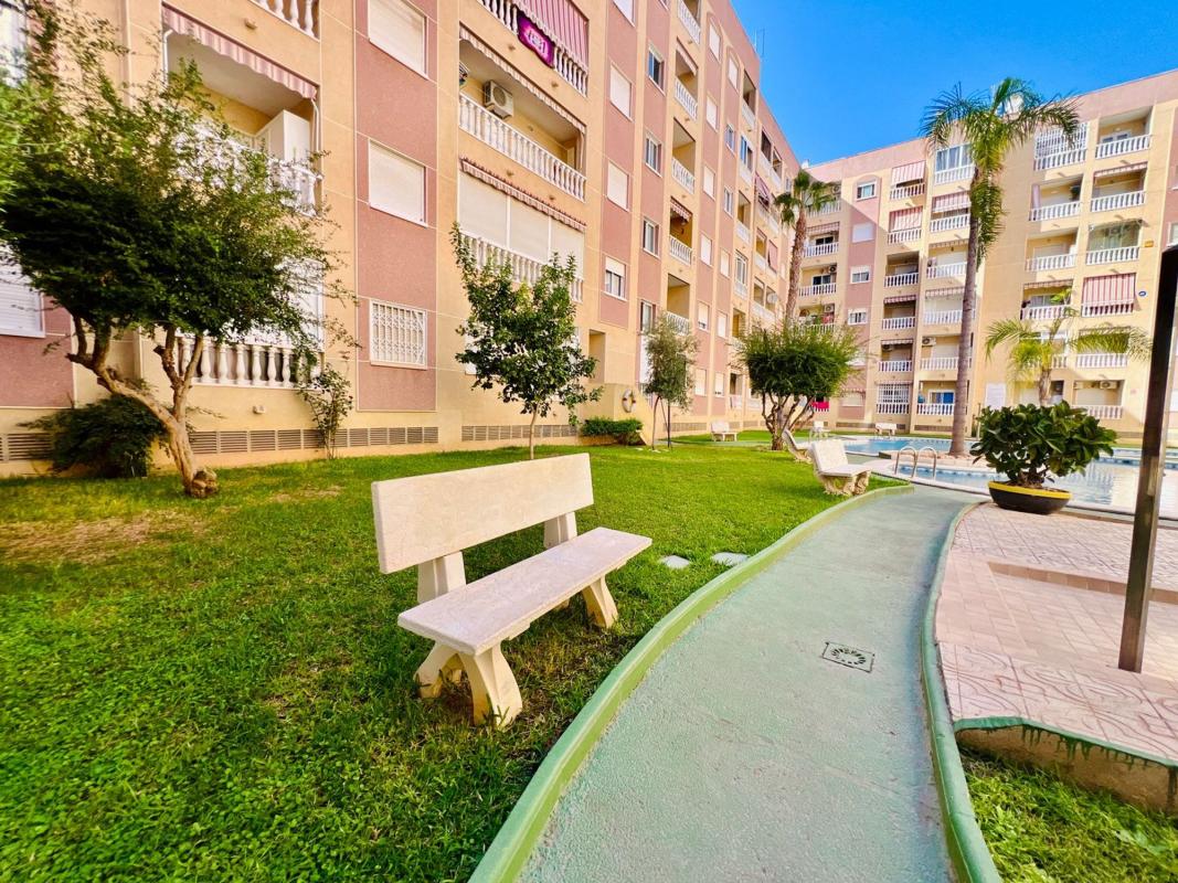 Venta de estudio en Estudio en Calle Bilbao, 23, Parque de las Naciones, Torrevieja, Torrevieja photo 2