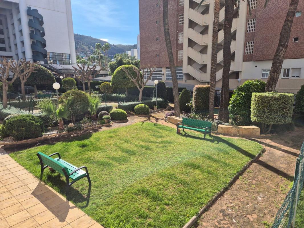 Продажа квартиры на Piso en Calle Doctor Santiago Ramón y Cajal, 5, Zona Rincón Alto, Benidorm, Бенидорм
 photo 3