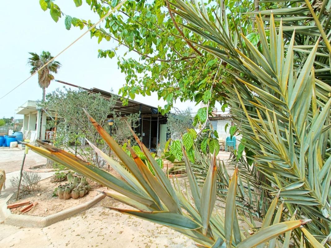 Properties for sale and rent in Spain photo 4