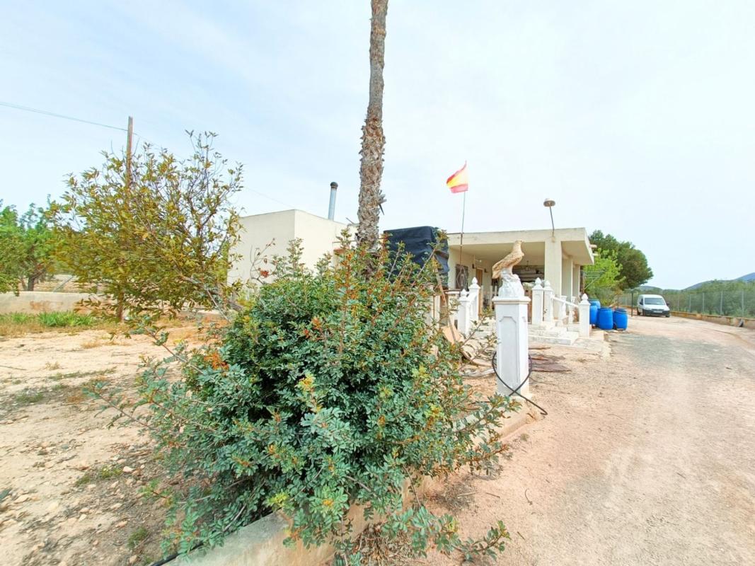 Properties for sale and rent in Spain photo 5