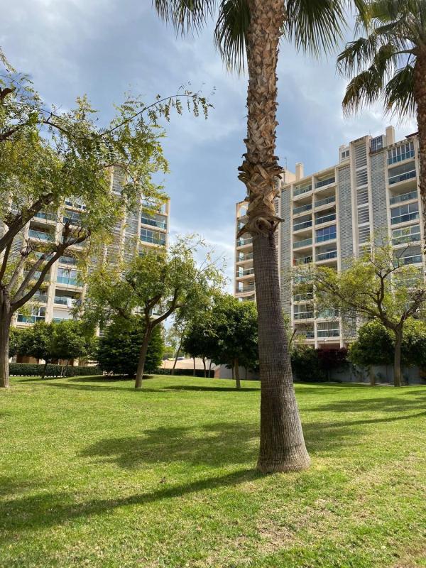 Продажа квартиры на Piso en Calle Catedratic Abelardo Rigual, 15, Playa de San Juan, Alicante / Alacant, Аликанте / Алакант
photo 1