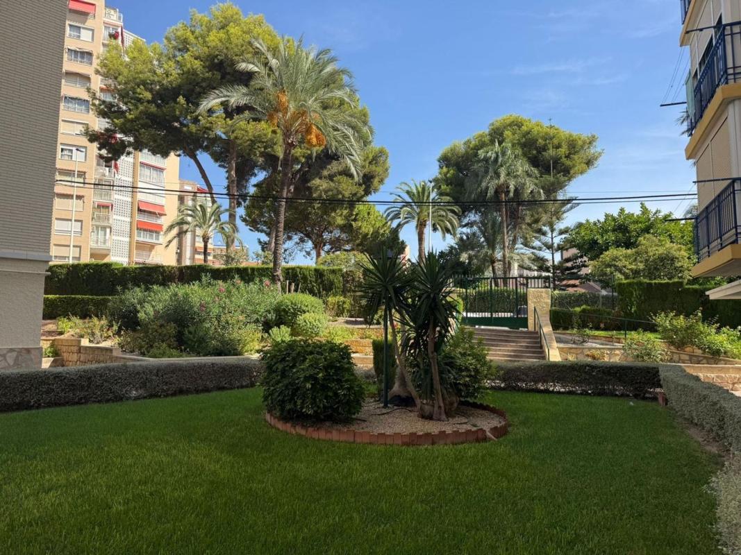 Venta de piso en Piso en Playa de Poniente, Benidorm, Benidorm
 photo 3