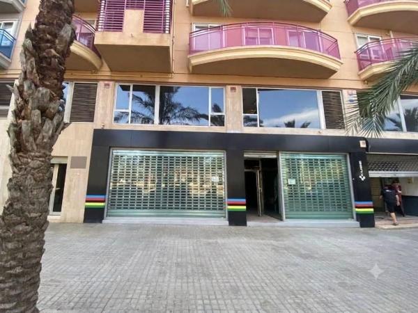 Local en Altabix, Elche / Elx photo 2