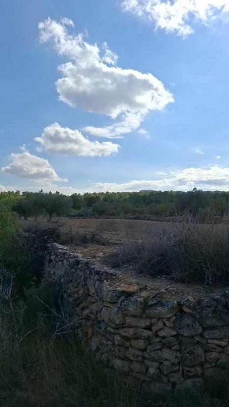 Działka na sprzedaż w Monowar, Alicante photo 4