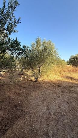 Terreno en Calle Nersac, Cocentaina thumbnail 3