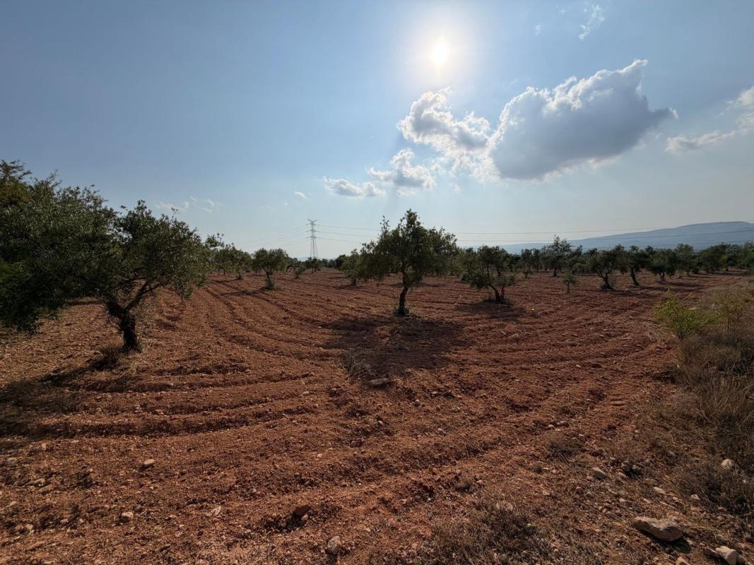 Terreno en venta en Biar, Alicante photo 1