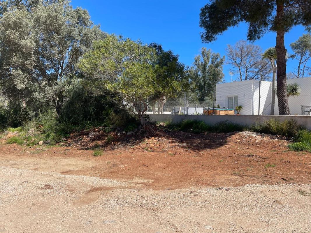 Land for sale in Jávea/Xàbia, Alicante photo 2