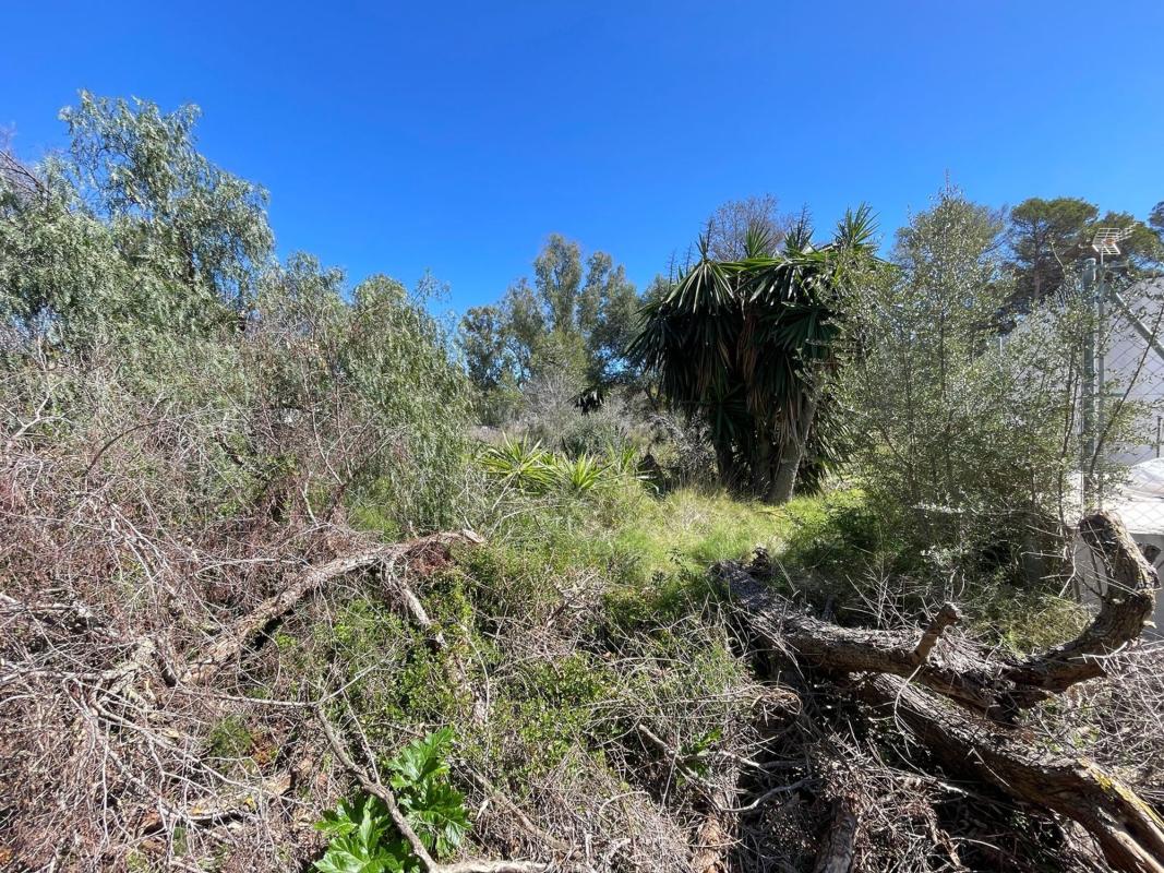 Land for sale in Jávea/Xàbia, Alicante photo 4