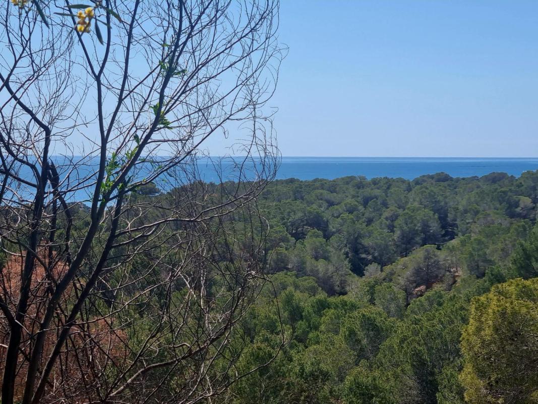 Land for sale in Altea, Alicante photo 5