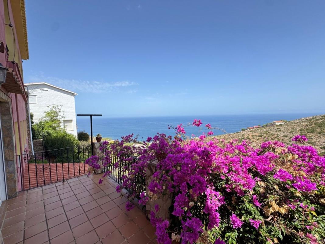 Properties for sale and rent in Spain photo 2