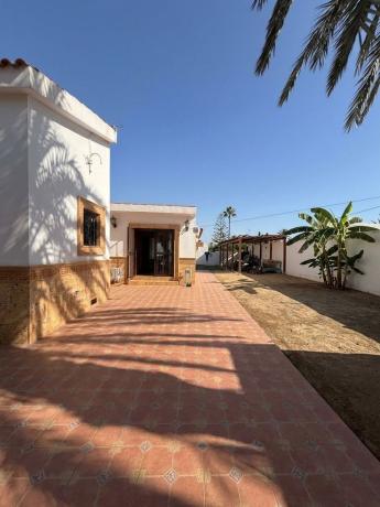 Casa o chalet independiente en Calle Martín Pescador, Nueva Torrevieja, Torrevieja photo 4
