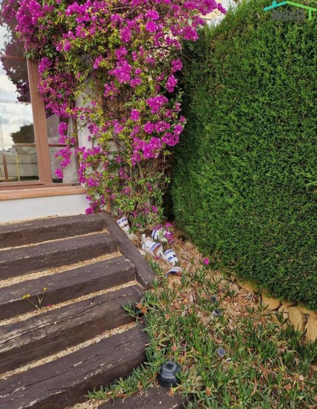 Properties for sale and rent in Spain photo 5