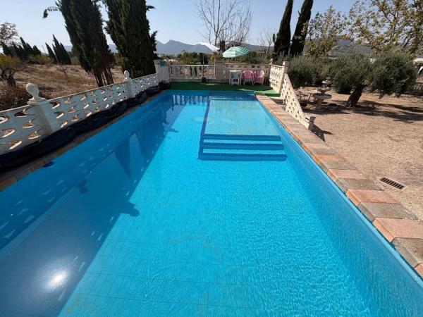 Casa o chalet independiente en Onil thumbnail 3