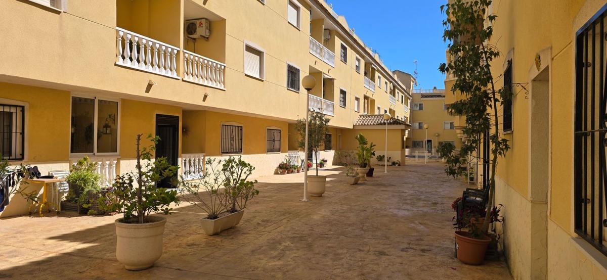 Venta de piso en Piso en Avenida Reina Sofia, 4, Formentera del Segura, Formentera del Segura
photo 1