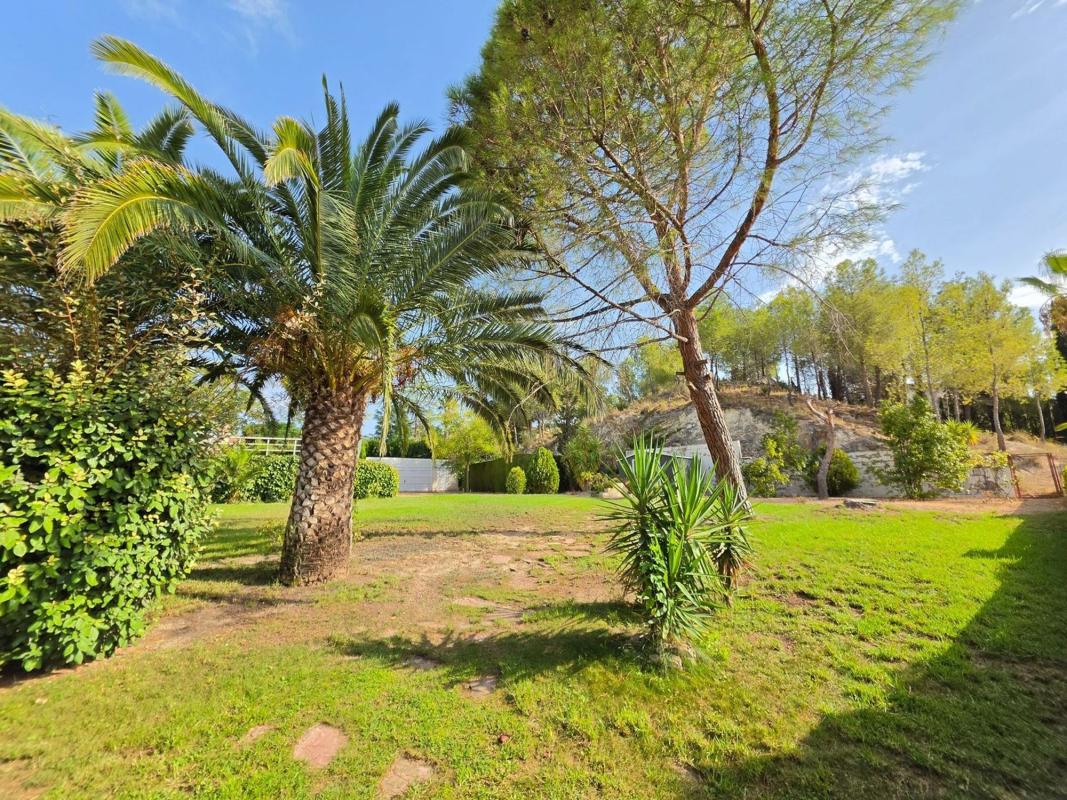 Properties for sale and rent in Spain photo 5