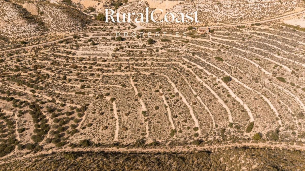 Terreno en venta en Busot, Alicante photo 4
