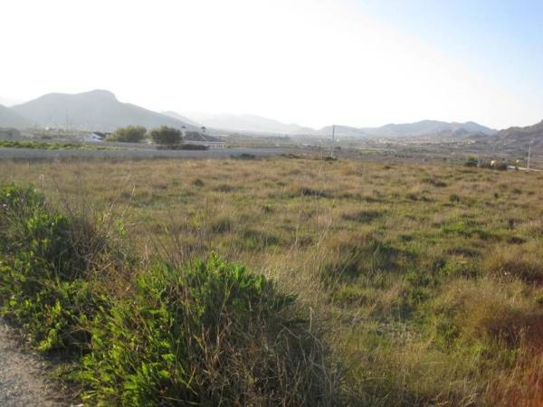 Terreno en Pedanías Oeste, Aspe thumbnail 2