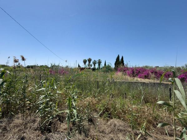 Terreno en Diseminado Cebadas, 73 a, Dolores thumbnail 2