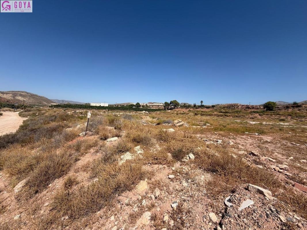 Terreno en venta en Novelda, Alicante photo 5