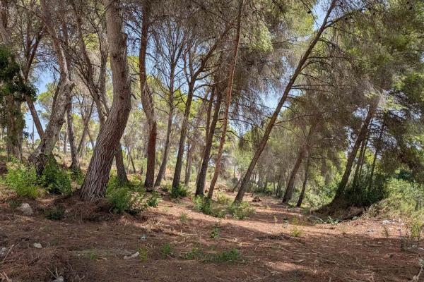Terreno en Pinar de Advocat-Cometa, Moraira photo 1