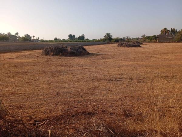 Terreno en Partida Matola, Algoda-Matola-Llano de San José, Elche / Elx thumbnail 2