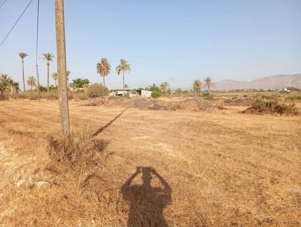 Terreno en Partida Matola, Algoda-Matola-Llano de San José, Elche / Elx thumbnail 3