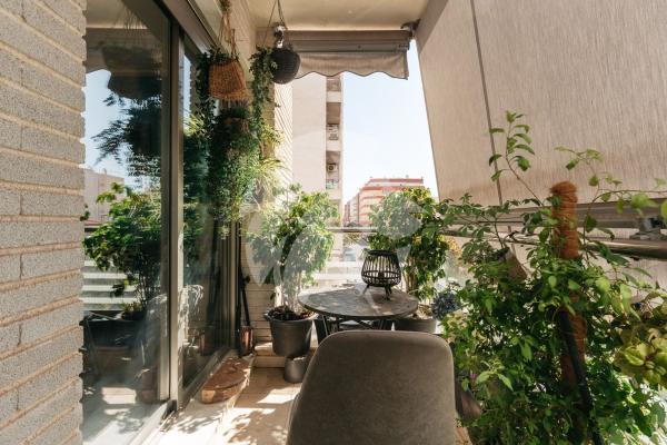 Venta de piso en Piso en Calle Campoamor, Puerto Deportivo, Torrevieja, Torrevieja
 photo 3