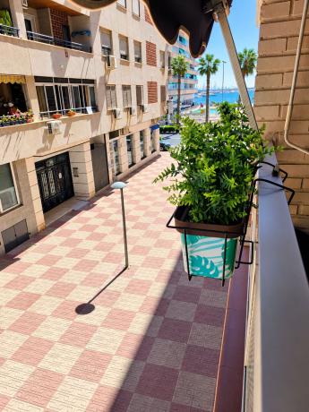 Sale of flat in Piso en Calle Valencia s/n, El Acequión, Torrevieja, Torrevieja
thumbnail 2