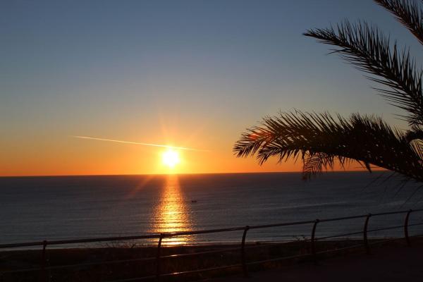 Venta de piso en Piso en Calle Valladolid, 117, Arenales del Sol, Elche / Elx, Elche / Elx
 photo 3