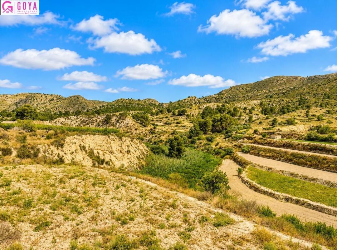 Venta de finca rústica en Finca rústica en Avenida Constitució, Jijona / Xixona , Jijona / Xixona photo 4