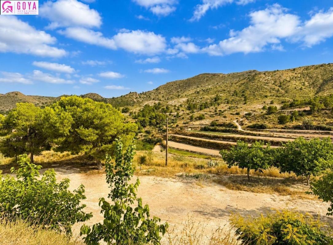 Venta de finca rústica en Finca rústica en Avenida Constitució, Jijona / Xixona , Jijona / Xixona photo 5