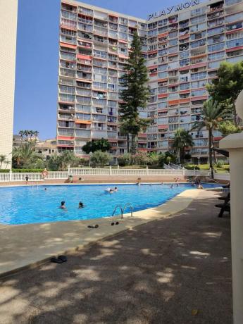 Sprzedaż mieszkania w Piso en Paris, 12, Zona Sierra Helada, Benidorm, Benidorm
thumbnail 2