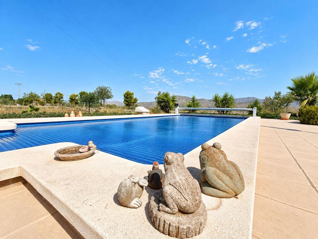 Продажа отдельного шале в  Casa o chalet en Hondón de los Frailes, Хондон-де-лос-Фрайлес photo 2