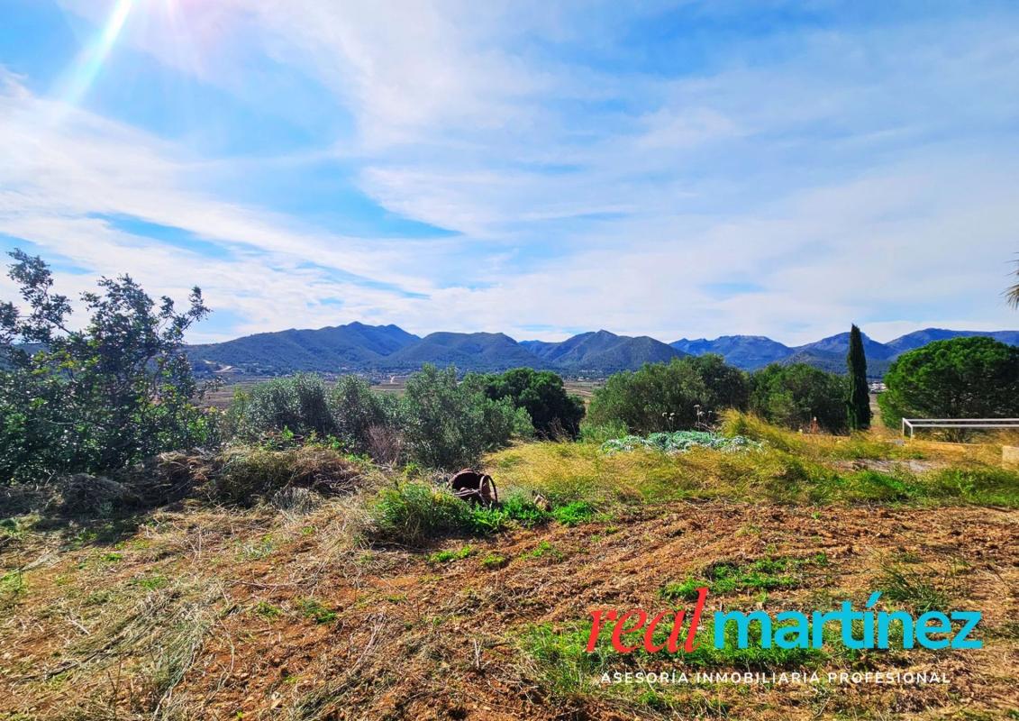 Sale of rural property in  Finca rústica en Camino La Bassa, 14, Llíber , Llíber photo 5