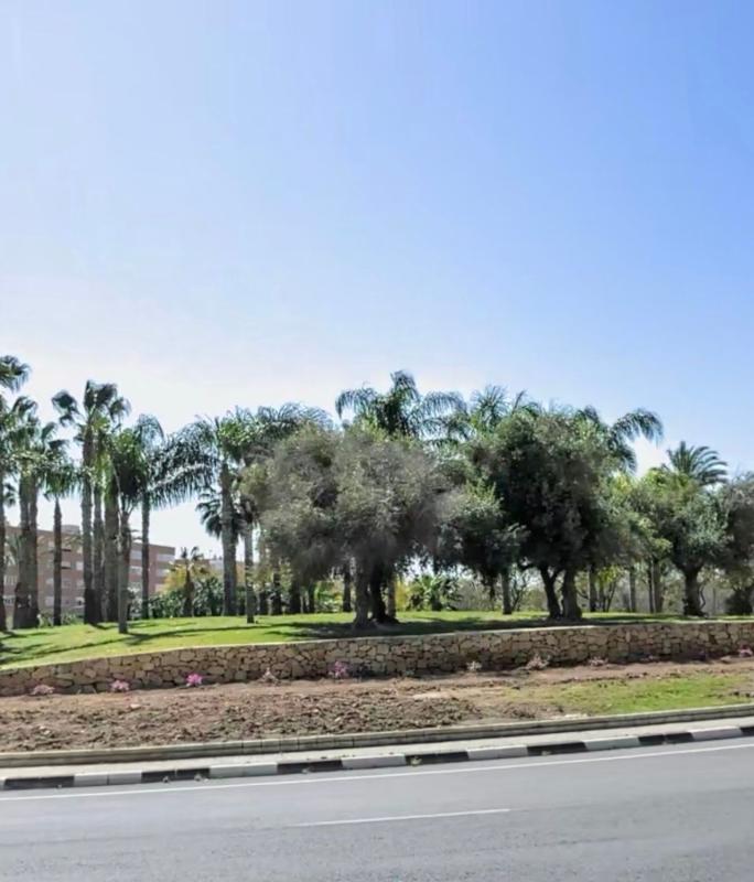 Продажа квартиры на Piso en Calle Pintor Antonio Amorós, Ciudad Elegida, Alicante / Alacant, Аликанте / Алакант
photo 5