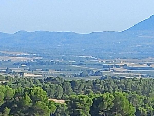 Terreno en Onil photo 3