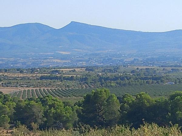 Terreno en Onil photo 4