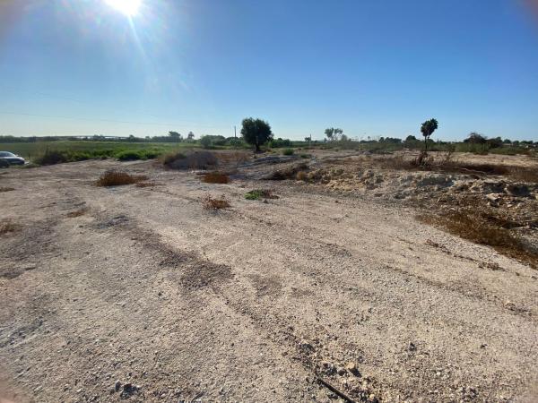 Terreno en Camino Arroba de Madriguera, Catral thumbnail 2