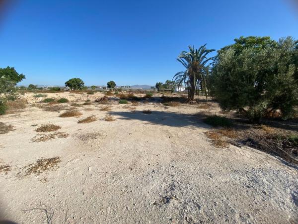 Terreno en Camino Arroba de Madriguera, Catral thumbnail 3