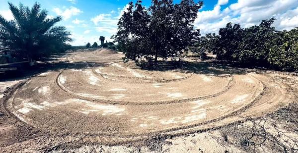 Terreno en La Marquesa, 90, Los Montesinos thumbnail 2