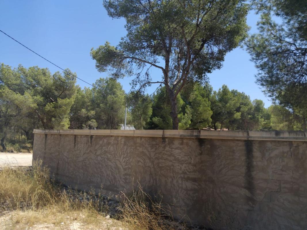 Działka na sprzedaż w Tibi, Alicante photo 5