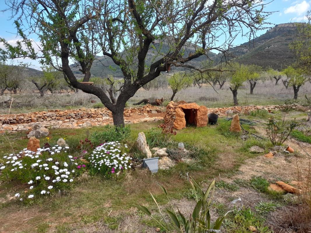 Продажа загородного участка в Finca rústica en partida Cau, 8 parcela 89, Llíber , Лльибер photo 4