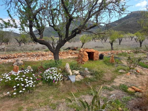 Rustic farm for sale in  Finca rústica en partida Cau, 8 parcela 89, Llíber , Llíber photo 4