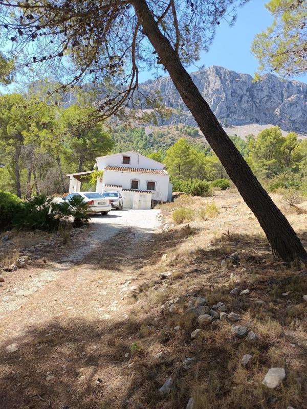 Propiedades en venta y alquiler en España photo 5